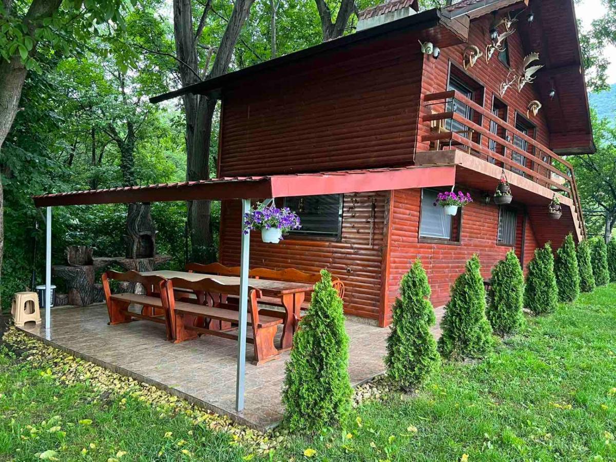 Вила Орехите 杜普尼察 外观 照片